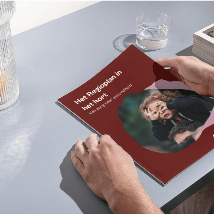 Publieksversie van het regioplan